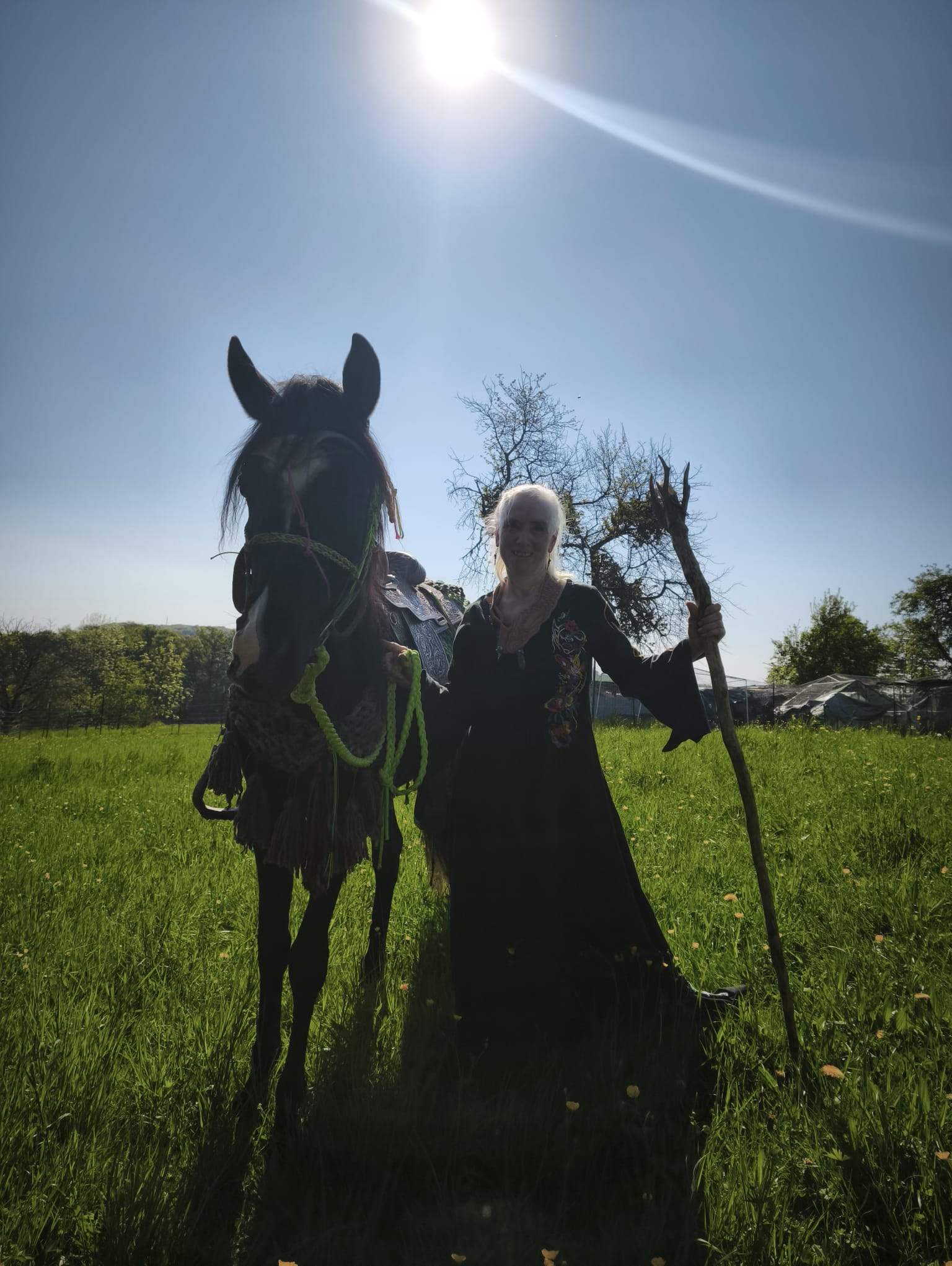 Eine Person steht auf einer Wiese und hält ein Pferd namens Sary an der Hand. Die Sonne scheint hell von oben, sodass beide als Silhouetten sichtbar sind.